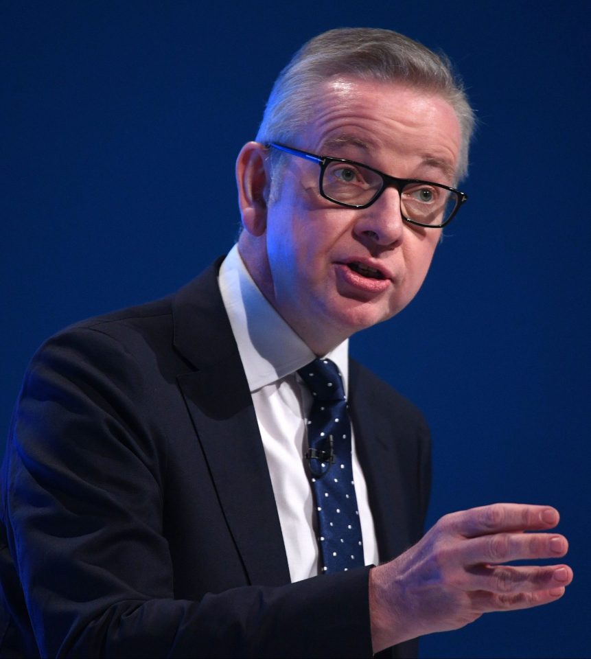  Michael Gove has made a bet that MPs will pass Boris Johnson's Brexit deal by a wafer-thin majority of three