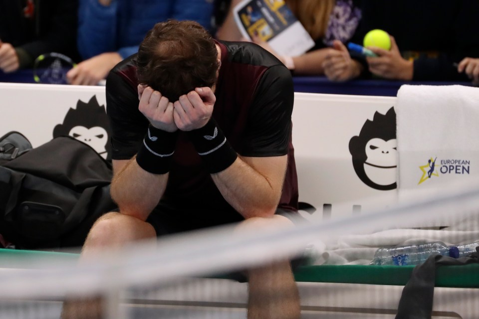 Murray could not keep his emotions in check after seeing off Stan Wawrinka