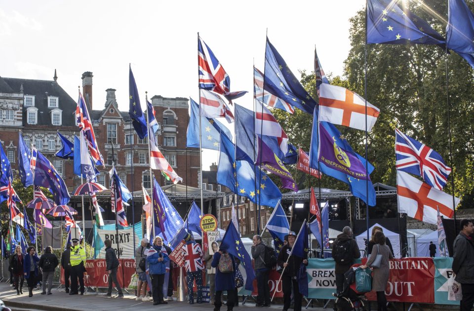  Remainers wave EU flags outside the House of Commons today