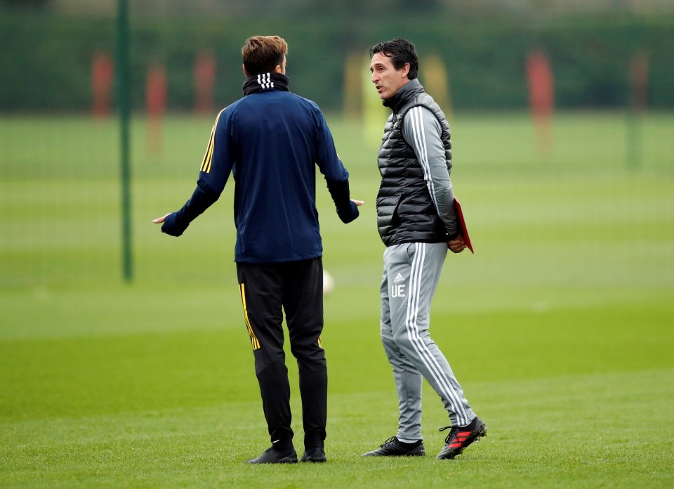  Mesut Ozil has been frozen out of the squad by Gunners boss Unai Emery