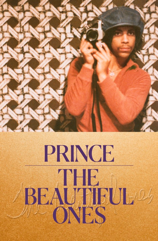  The Beautiful Ones, by Prince and Dan Piepenbring, is out now