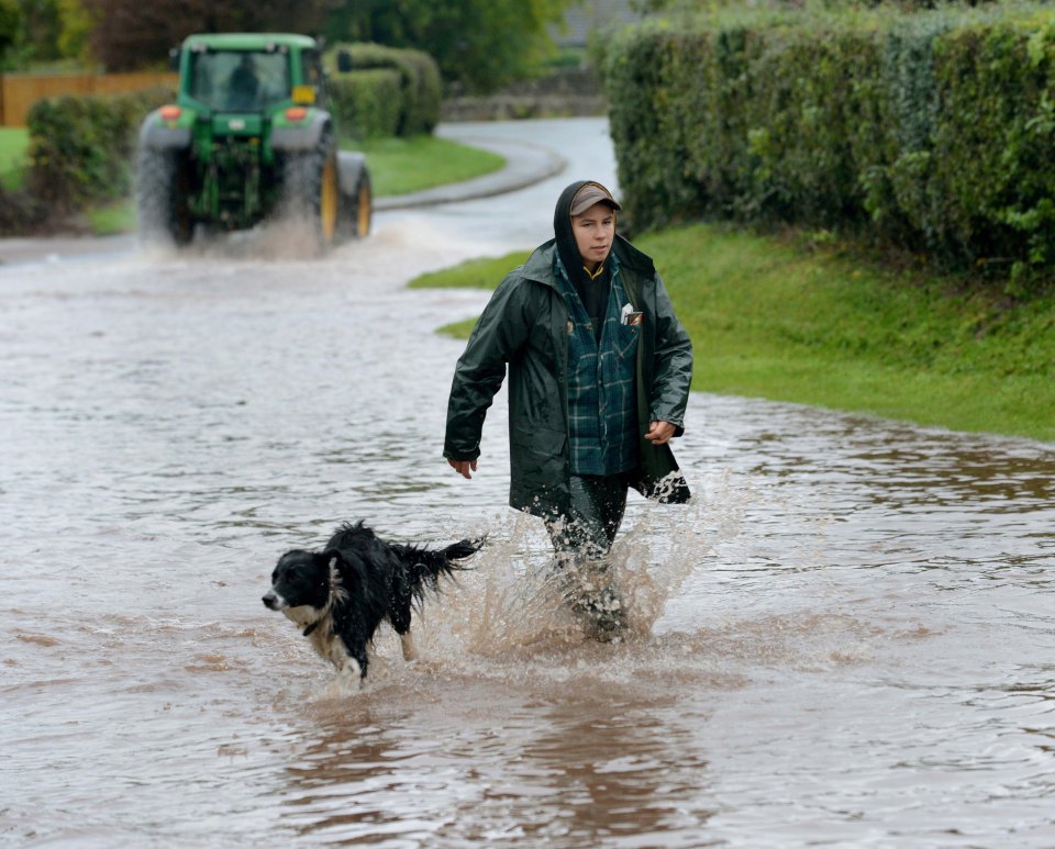  A villager and her dog brave the flash floods which hit the village of Ewyas Harold in Herefordshire