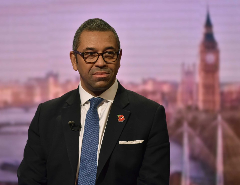  Conservative MP James Cleverly branded the Lib Dem's move 'a stunt'