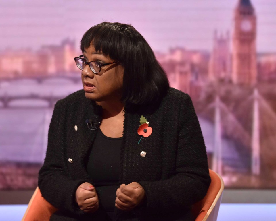  Diane Abbott blasted cry-baby Labour MPs complaining that they would face a massacre in the polls if there is another election