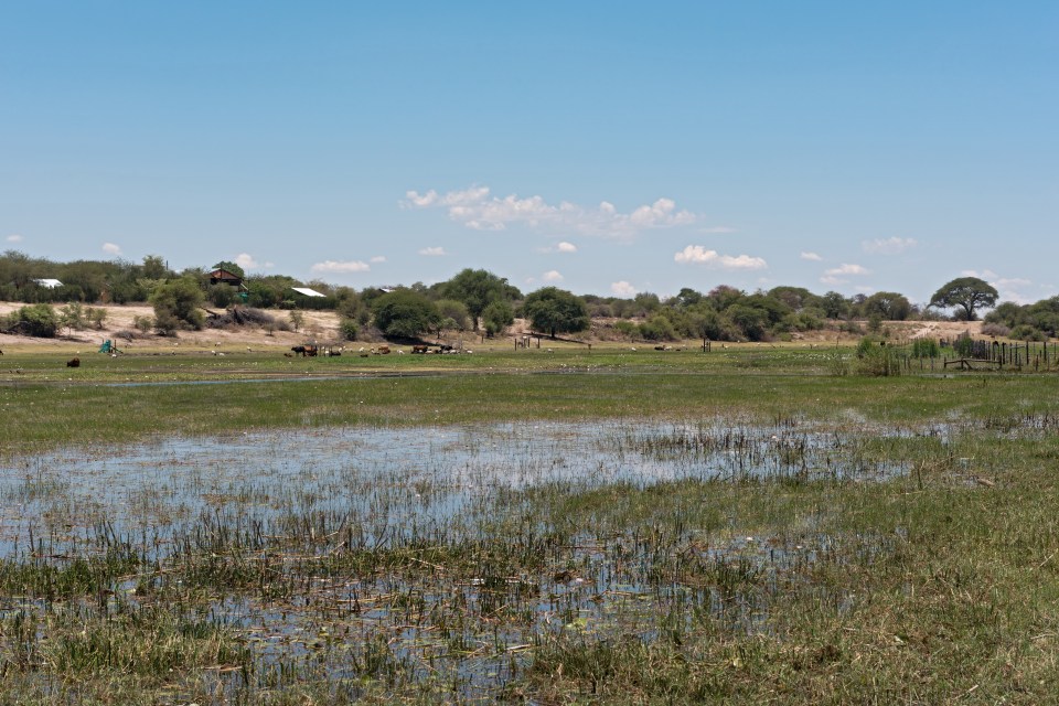  Scientists have pinpointed the origin of humanity to the Makgadikgadi wetlands