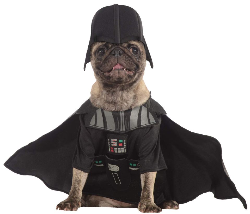  Or maybe your dog could be Star Wars' villain?