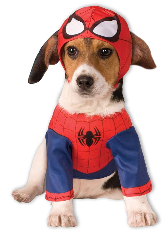  Dress your pooch up as Spider-Dog!