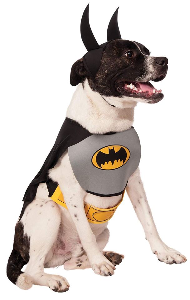  Na-na-na-na-na-na-na-na- Batdog!