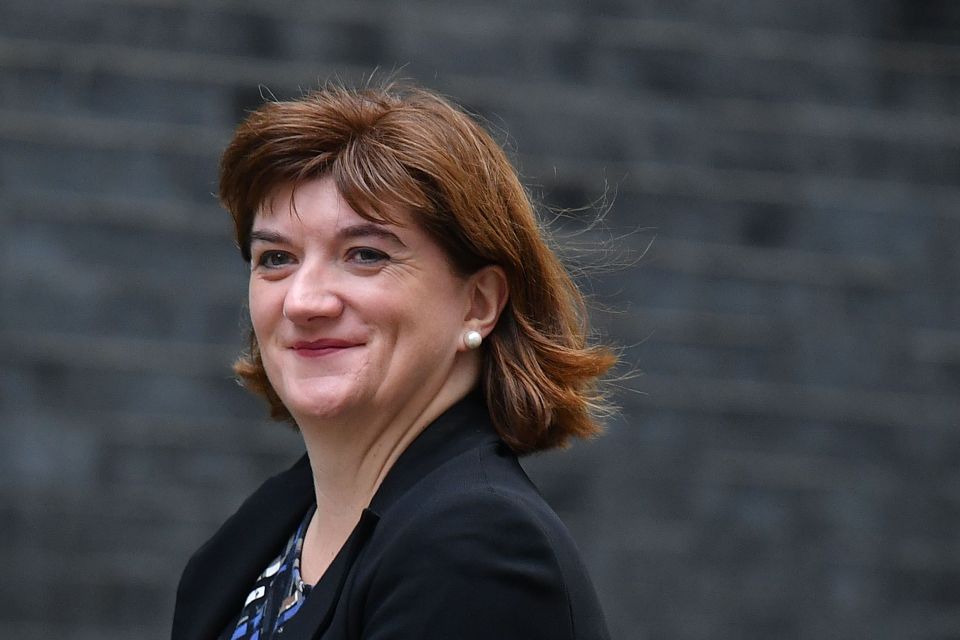  Cabinet minister Nicky Morgan will not stand in the upcoming Christmas election