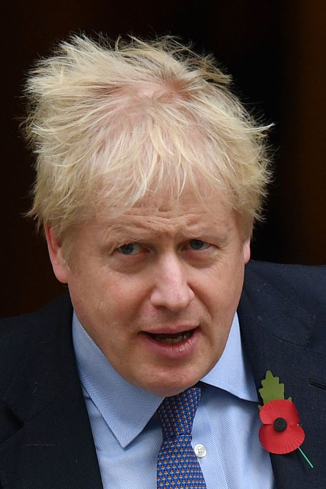  Boris Johnson could be denied a Commons majority if just one in three Remainers vote tactically, a mass anti-Brexit study has found