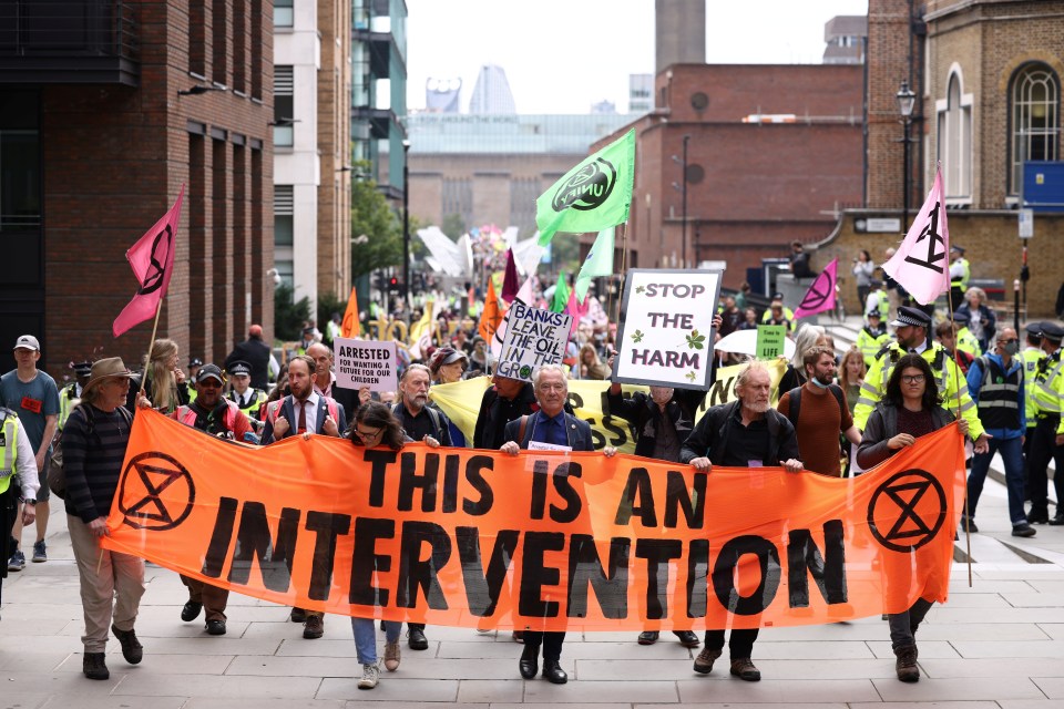  Eco warriors marched through the capital with banners and placards