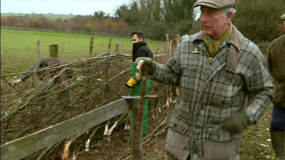  The first-in-line to the throne was seen by viewers getting stuck into farming during the ITV documentary