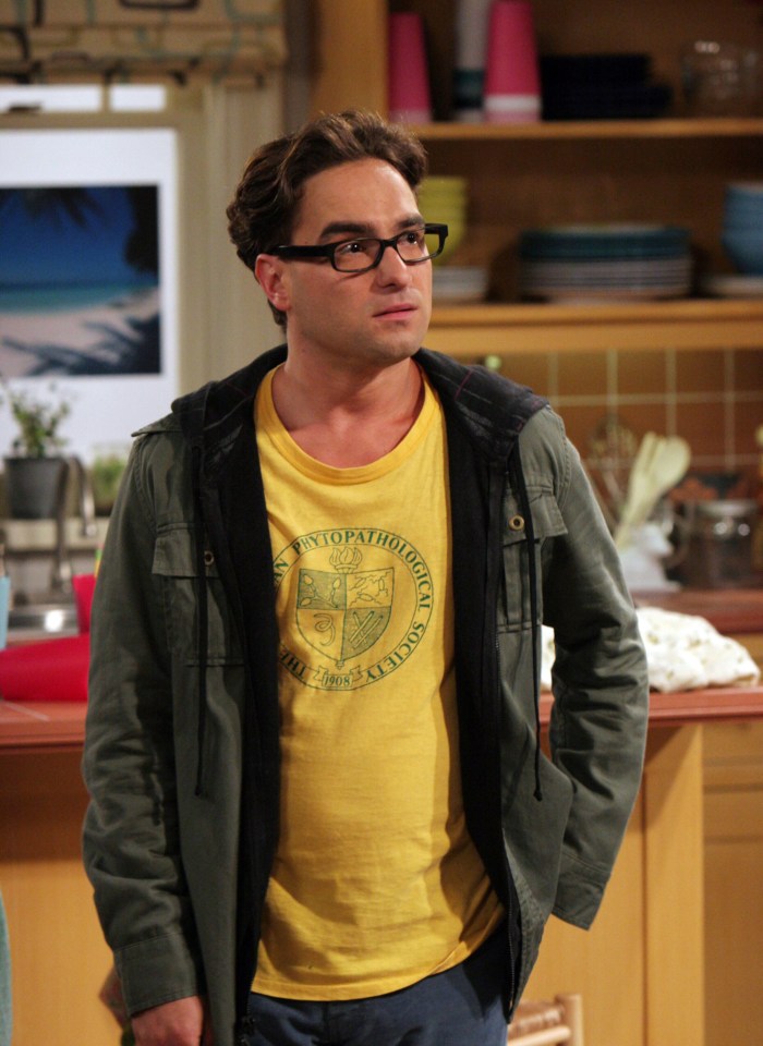 Johnny played Leonard Hofstadter in the hit CBS sitcom