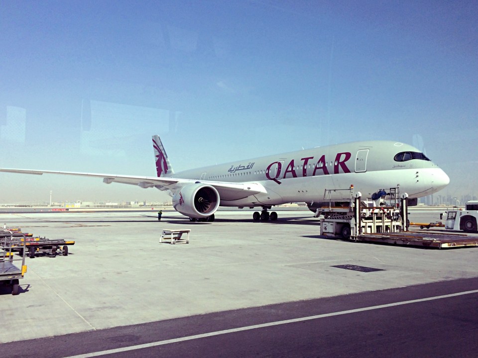  Olga was booked on a Qatar Airways flight from Gatwick to Mozambique