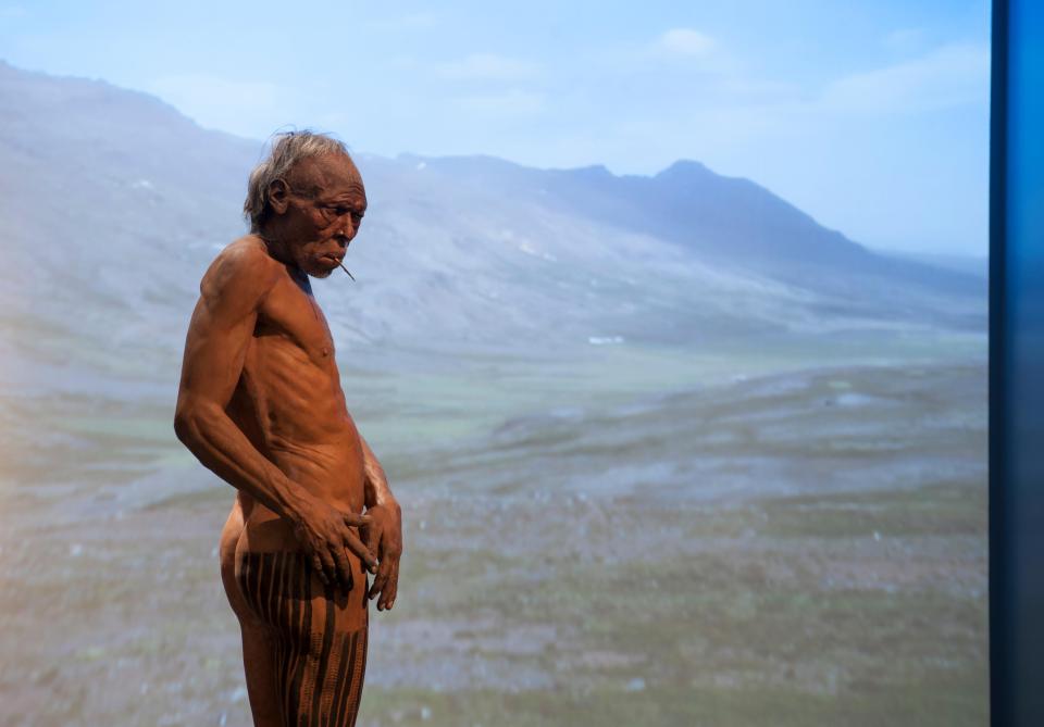  The study 'clears' us modern humans of causing the Neanderthal extinction