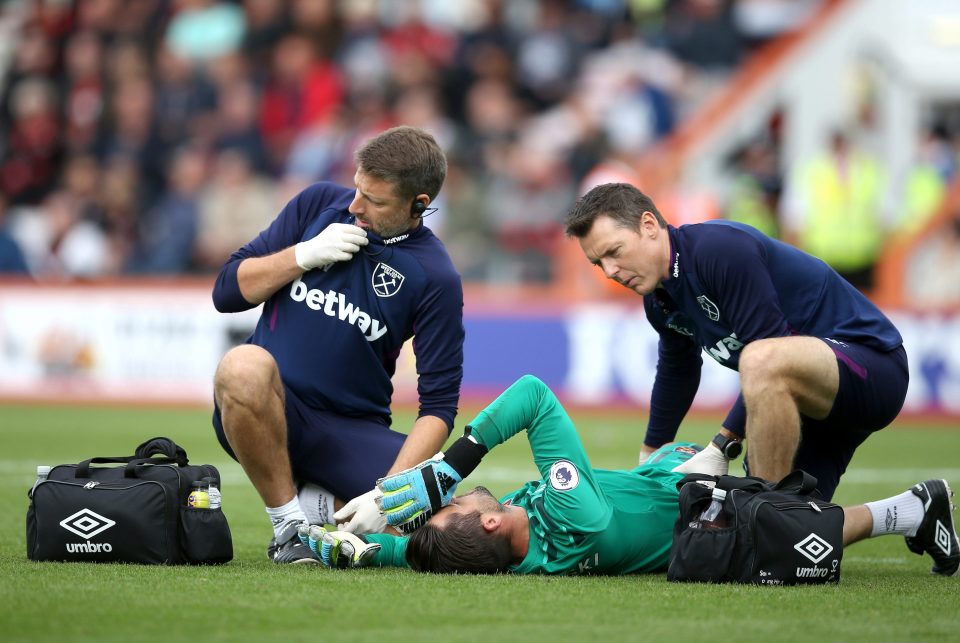  West Ham have also suffered from the injury to keeper Lukasz Fabianski, who has torn a hip muscle