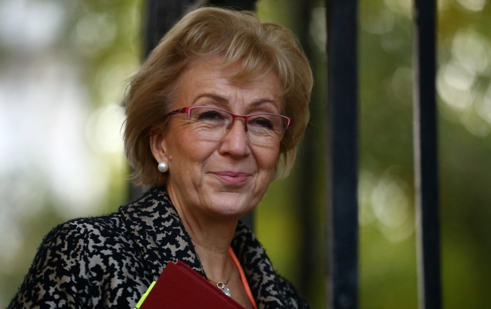  Business Secretary Andrea Leadsom has hinted tax cuts will be part of the Tory manifesto