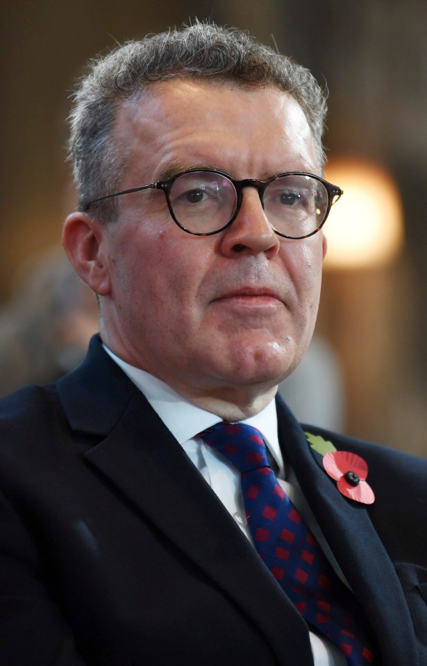  Labour's deputy leader Tom Watson could be ousted from his West Bromwich East seat in the December election