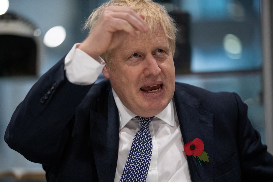  Boris Johnson's hopes could be torpedoed by Brexit Party plans to put candidates it out in hundreds of constituencies