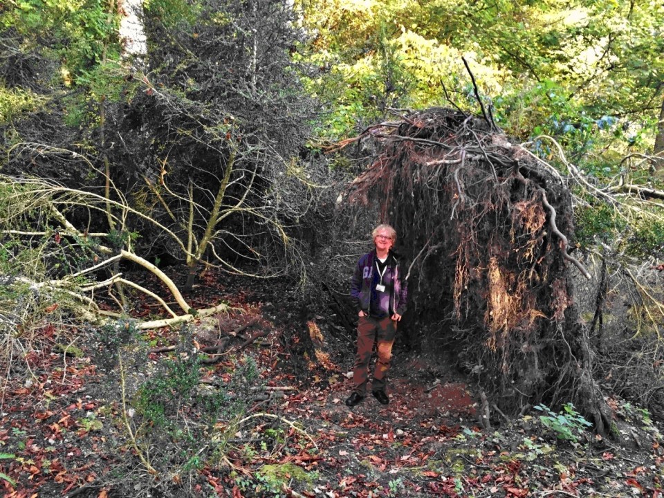  Archaeologist David Jacques stood next a fallen tree at Blick Mead which revealed a suspected 'eco home'