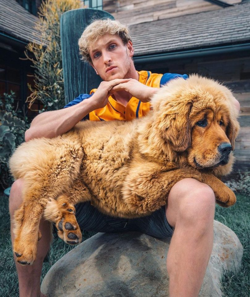 YouTuber Logan Paul is building himself a property empire