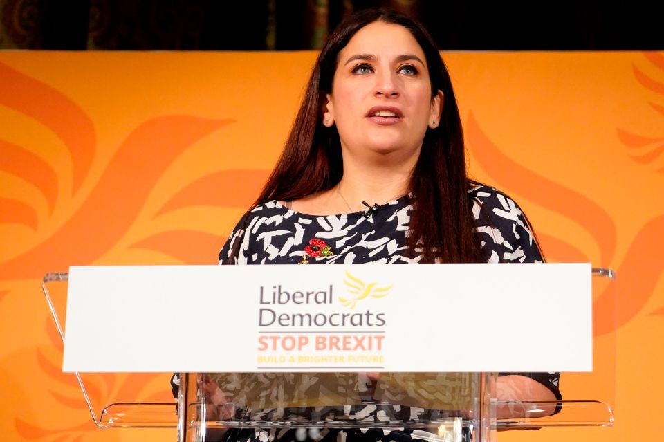  Liberal Democrat health spokeswoman Luciana Berger said it would provide 'a solid framework to improving the prospects of those with severe mental ill-health