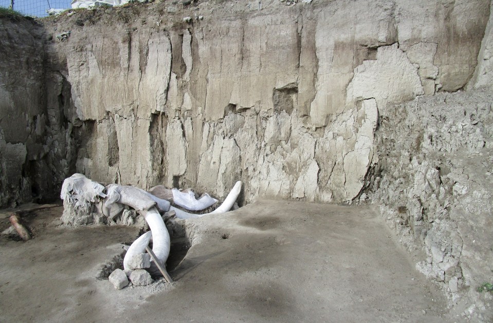  Two 6-foot-deep pits once used by humans to trap woolly mammoths have been found in Mexico