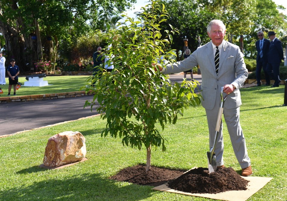  Prince Charles has revealed he shakes hands with every tree he plants to "wish it well"