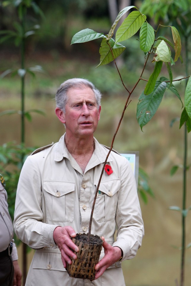  The Queen's son previously admitted he also talks to trees to help them grow