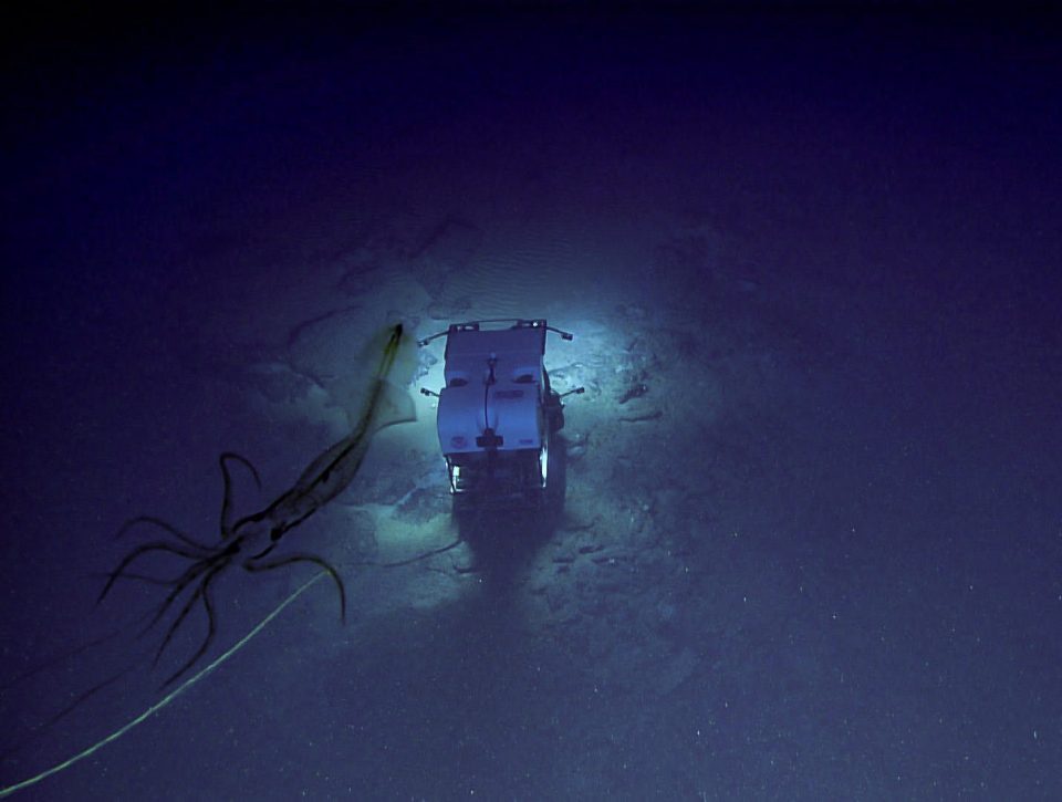  The squid can be seen here looming above the research vehicle