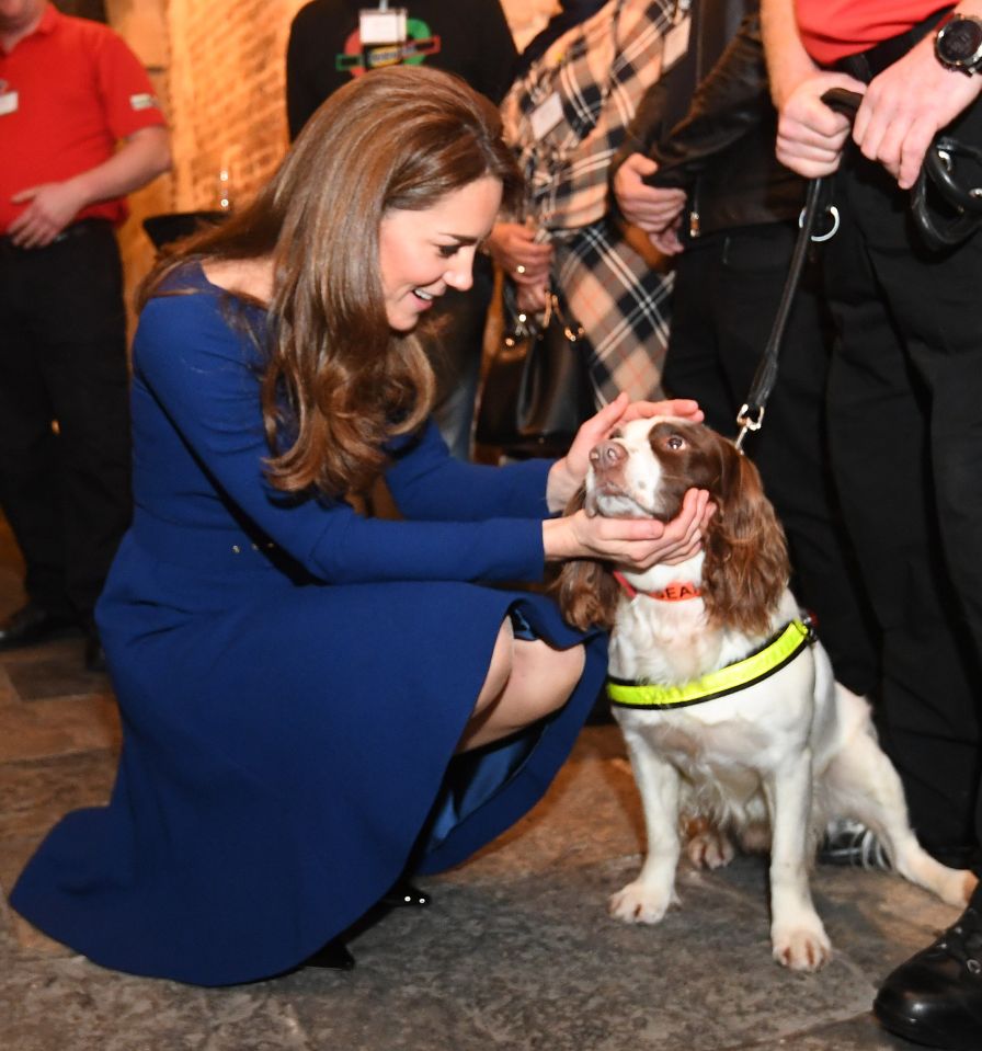 Kate Middleton meets a dog during the launch of the National Emergencies Trust