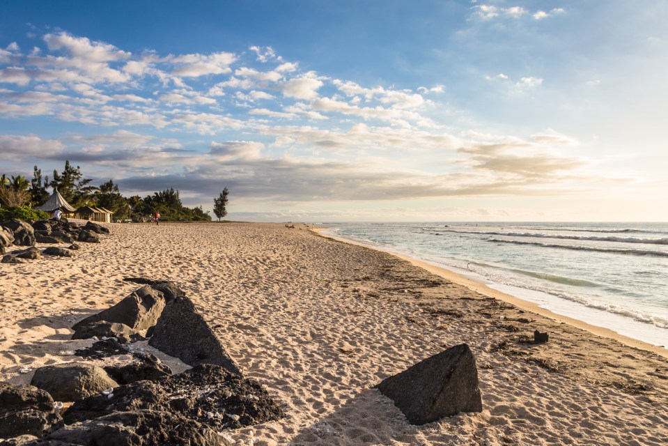  Shark attacks are common in the Indian Ocean paradise of Reunion Island