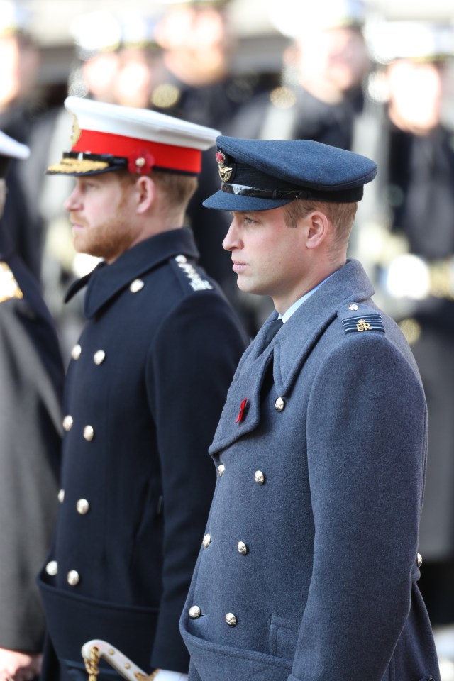 Prince Harry and Prince William were among the royals at the Cenotaph last year