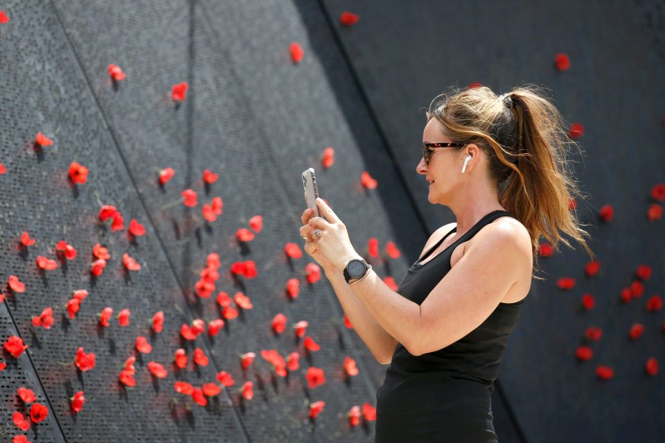  A woman takes a photograph of poppies on November 11, 2019 in Melbourne, Australia