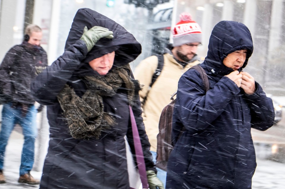  The cold snap will be the sort of weather you'd expect in the middle of winter