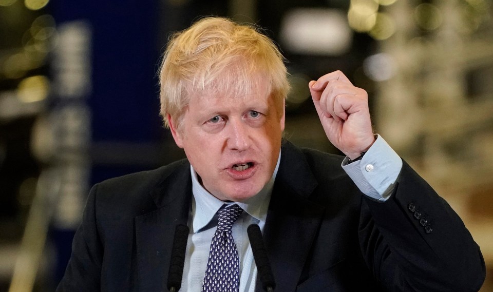 Mr Johnson’s green push is a bid to woo younger voters who care passionately about climate change