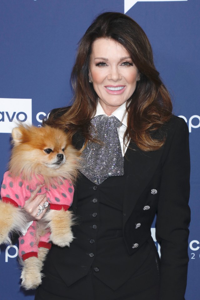  Lisa Vanderpump is vying for another series on Bravo about her dog rescue, Vanderpump Dogs