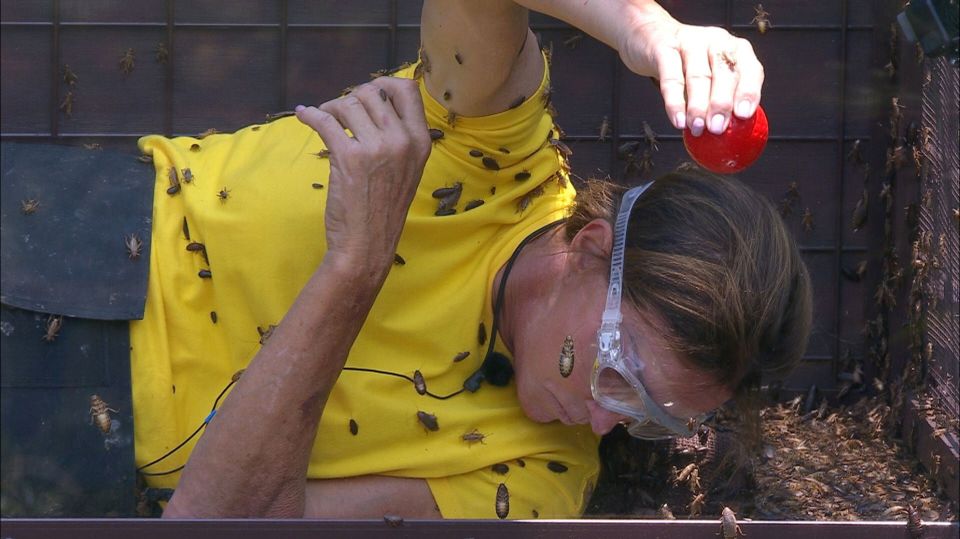  Over 50,000 cockroaches were poured over Caitlyn Jenner as she lay suspended in the air in a box in the first Bushtucker Trial