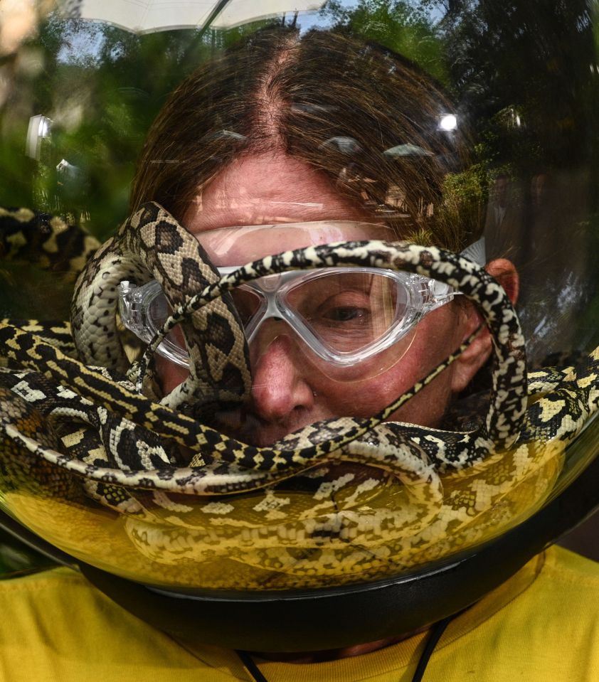  In the second trial Caitlyn Jenner was forced to hunt for yellow stars as snakes wrapped themselves around her face