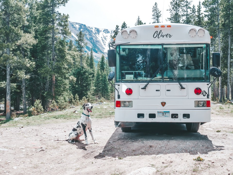 Their dog Apollo joins them on their travels