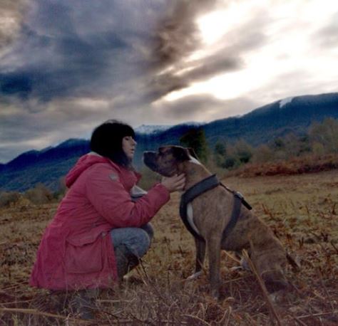  Forensic tests have been carried out on 93 dogs connected with the incident