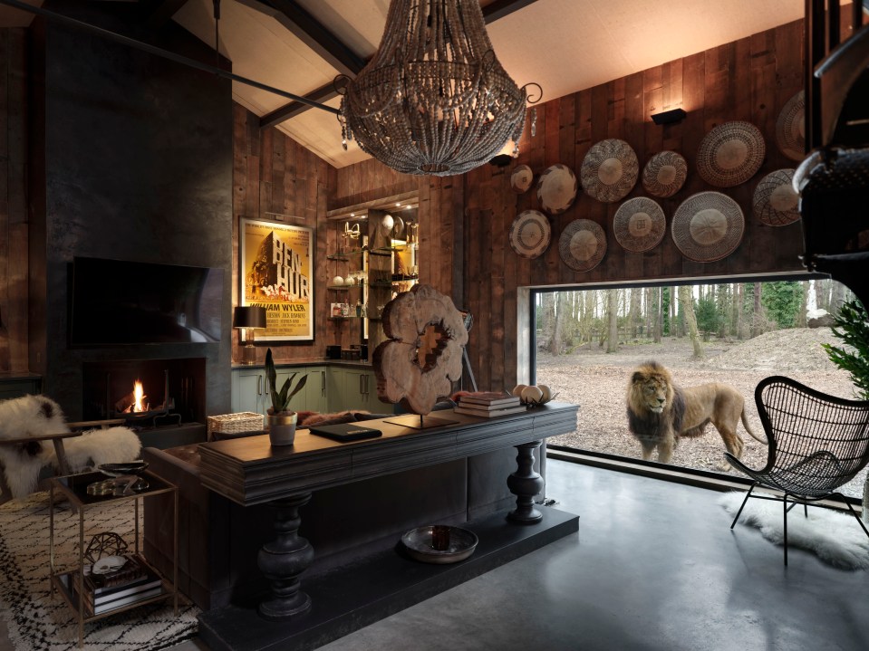  You can stay in a safari lodge that's surrounded by lions