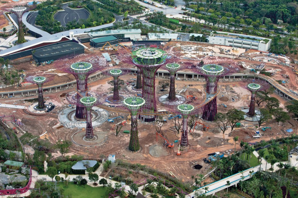  Artificial "supertrees" line Singapore's manmade marina, serving as vertical gardens, as it was under construction in 2011