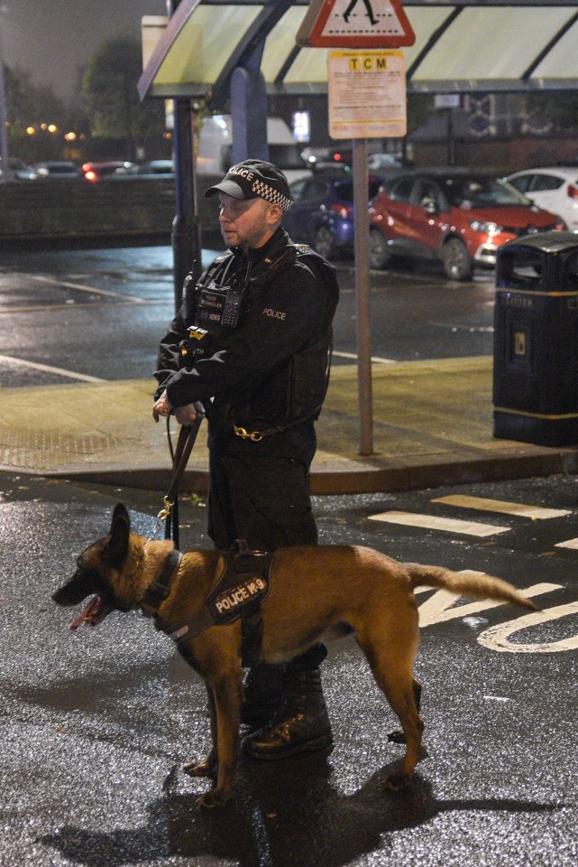  A police officer called to the Blue Story screening with a sniffer dog can be seen patrolling the scene where youths descended into violence