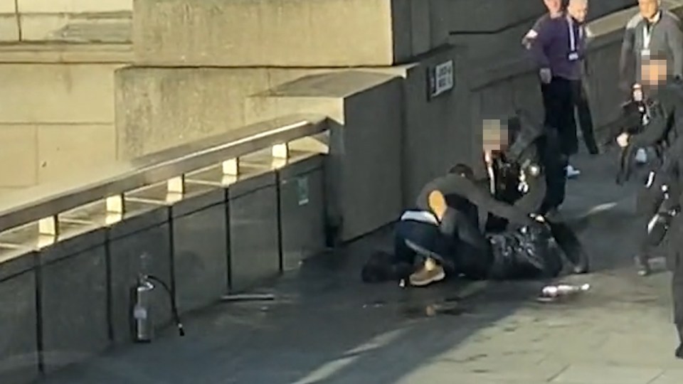  Members of the public pinned down the terrorist on London Bridge on November 29