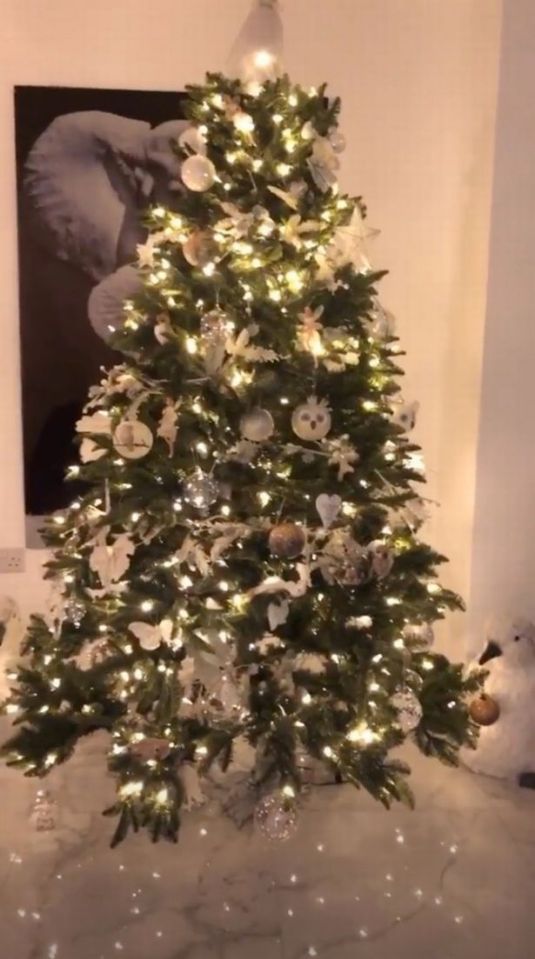  Megan McKenna's christmas tree has been put up a month before Christmas