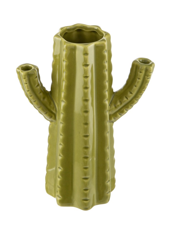  This cactus vase was a bargain dupe for a similar £42 from Amara