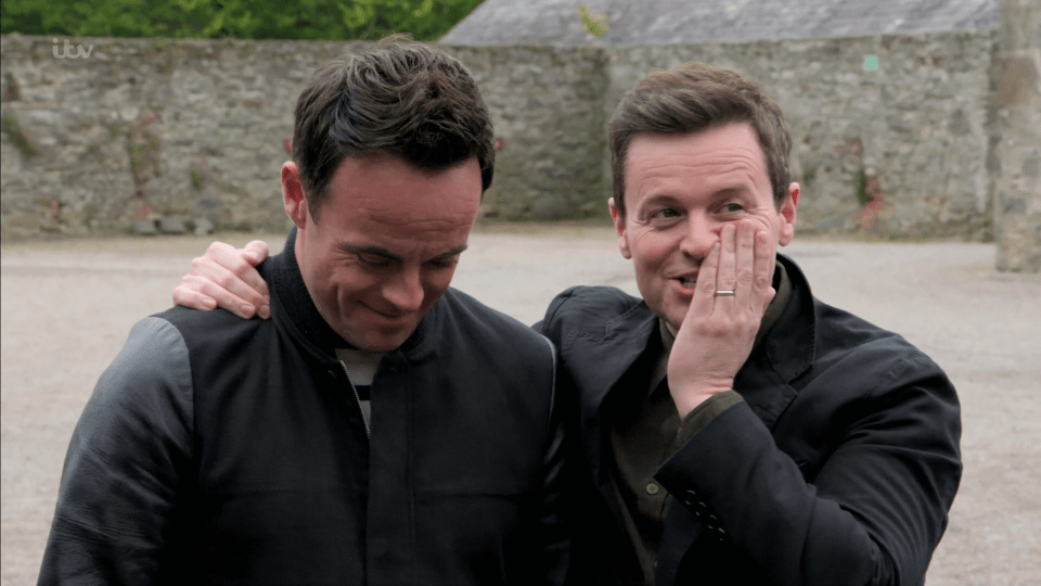  Ant and Dec  discovered they share the same gene as a Viking warrior whose skeleton was dug up in Dublin