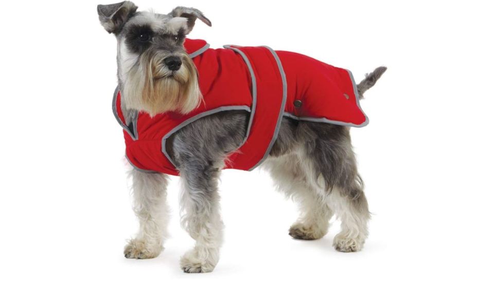 This lined, waterproof coat is brilliant for any weather, and for keeping your pup clean and dry when they run through the mud