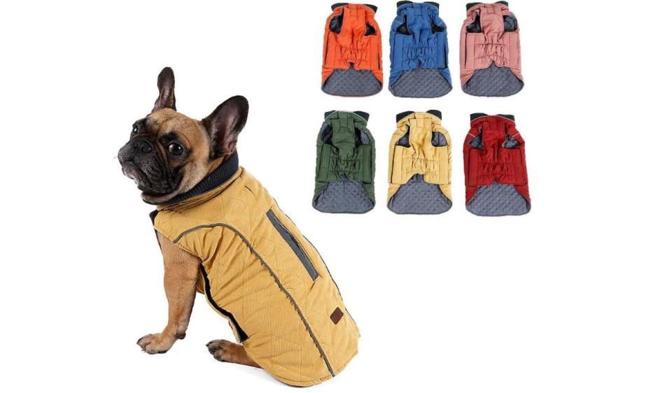 This smart coat will keep pups cosy